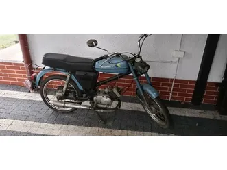 świnia tucznik z wlasnego chowu na ubój