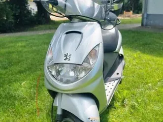 peugeot vivacity 100 ccm 2-takt