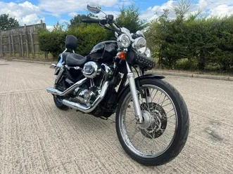 2005 harley davidson xl 1200 c xl1200 custom sportster chopper cruiser xl1200c