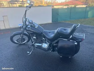 harley davidson softail custom