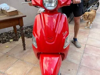 scooter orcal 50