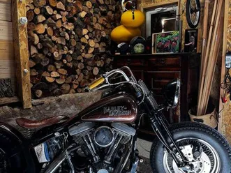 harley davidson evo bobber