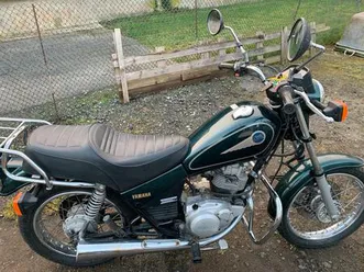 hier steht eine 125 cm copper ohne papiere zu schlachten,