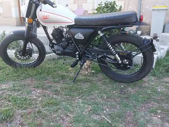 moto 50 mash