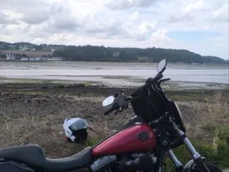 dyna street bob stage 2