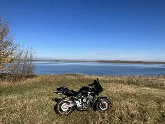 2006 yamaha fz6
