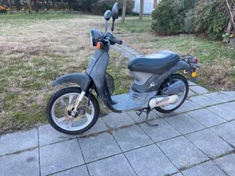 honda sky 50