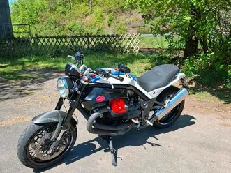 moto guzzi griso 1200 martini