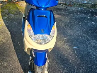 peugeot vivacity universe