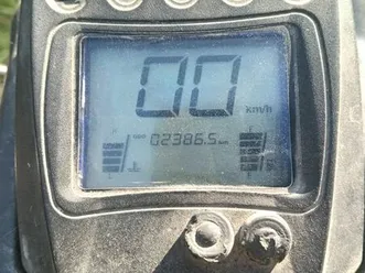 quad shineray 250 adolfinów