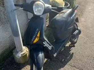 zenith zingarello 2019