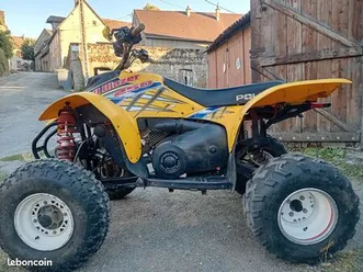 quad 250 trail blazer