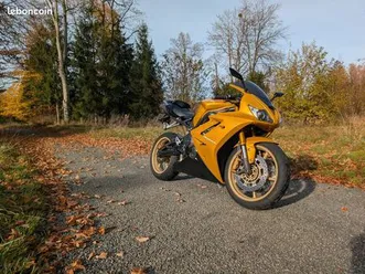 triumph daytona