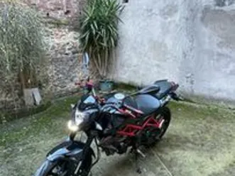 benelli bn 125 - 2022