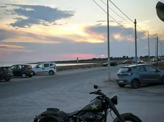 harley-davidson softail slim s verde