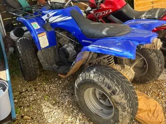 wolverines 350 yamaha