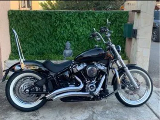 harley davidson softail standard