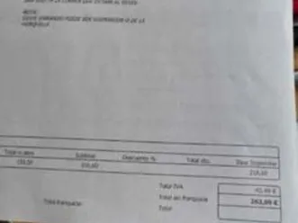 suzuki - burgman 250