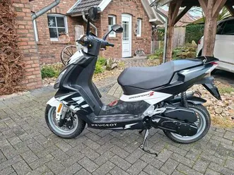 peugeot speedfight 3 | 25 km/h | zuverlässig