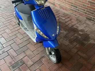 funktionsfähiger roller”.