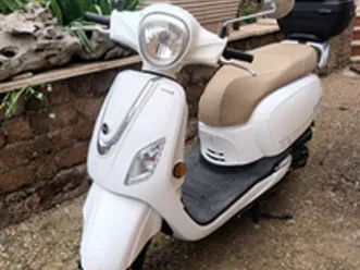 fiddle iii 50 cc