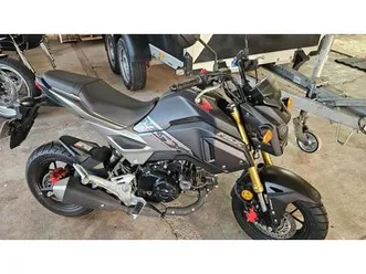 motorrad honda msx 125 ab 16 jahre