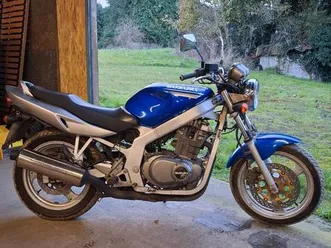 suzuki 500 gse