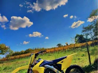 suzuki rmz 250 2017