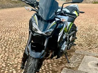 z900 2019 full