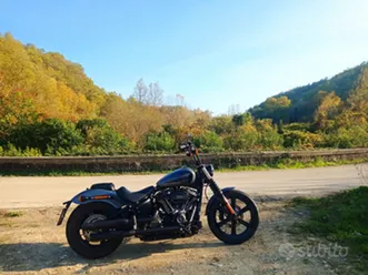 harley davidson softail street bob 114