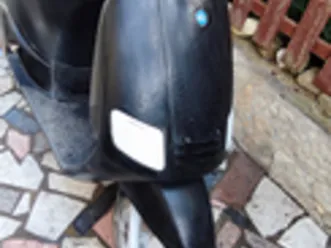 zip piaggio fast rider