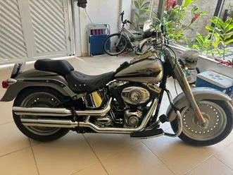 harley-davidson screamin eagle fat boy