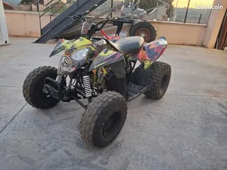 quad polaris 110 outlaw