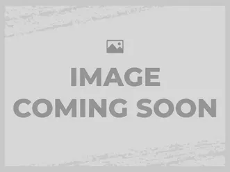 used 2025 triumph tiger sport 800