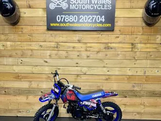 yamaha pw50 / 2019 model / just been fully serviced ready to ride