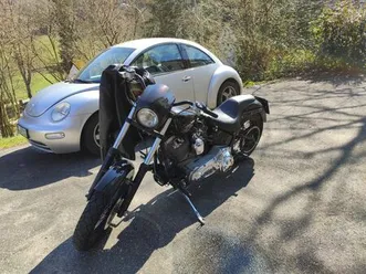 harley-davidson softail custom