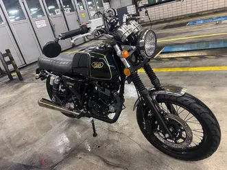 occasion mash black seven