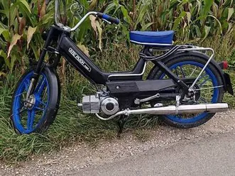 puch maxi n canton berne -