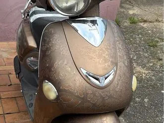 50 ccm roller“ tauris capri“ braun zu verschenken