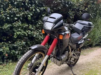 nx 650 dominator compatible a2