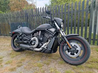 harley-davidson vrscdx night rod special
