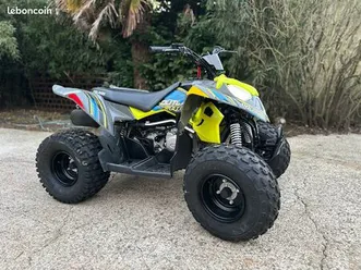 polaris outlaw 110