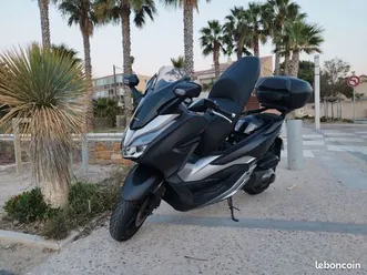 forza 300 magnifique options