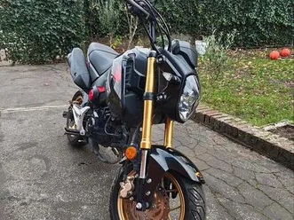 ② honda grom/msx 125 cc