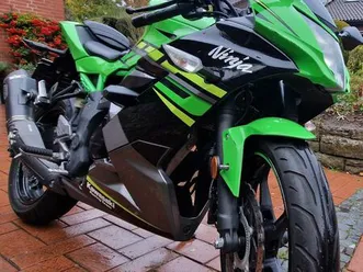kawasaki ninja 125 performance
