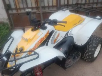 polaris 250
