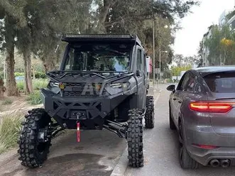 buggy d'expédition tout-terrain