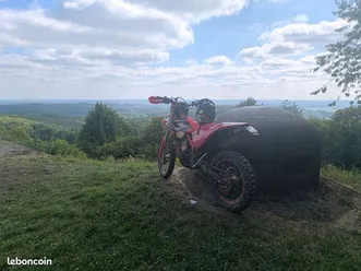 beta 390 rr factory 2019