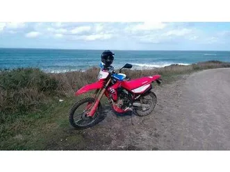 honda - crf 300 l