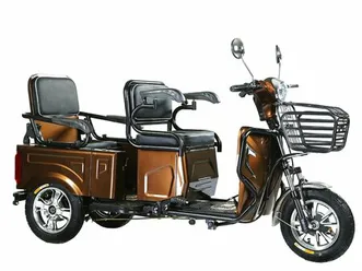 електрическа триколка а10 карго двуместна товарна →